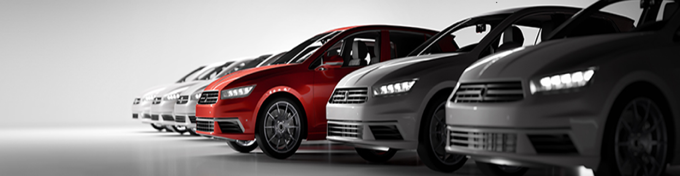 Chauffeur & Transportation Service